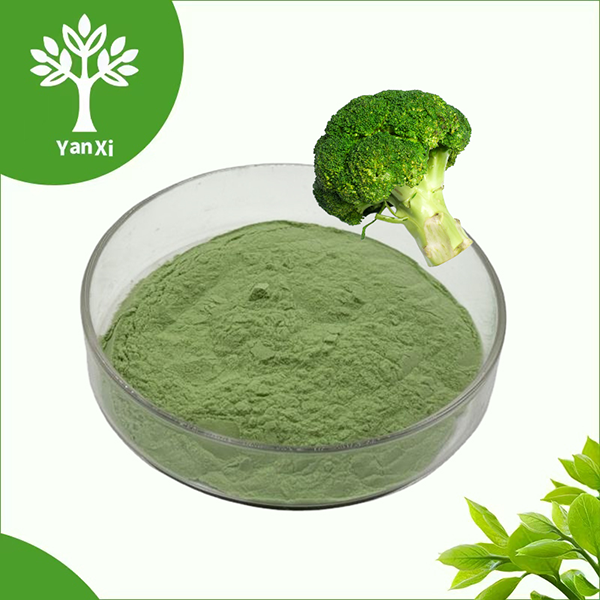 Freeze-Dried Broccoli Powder Bulk Freeze-Dried Broccoli Powder Bulk